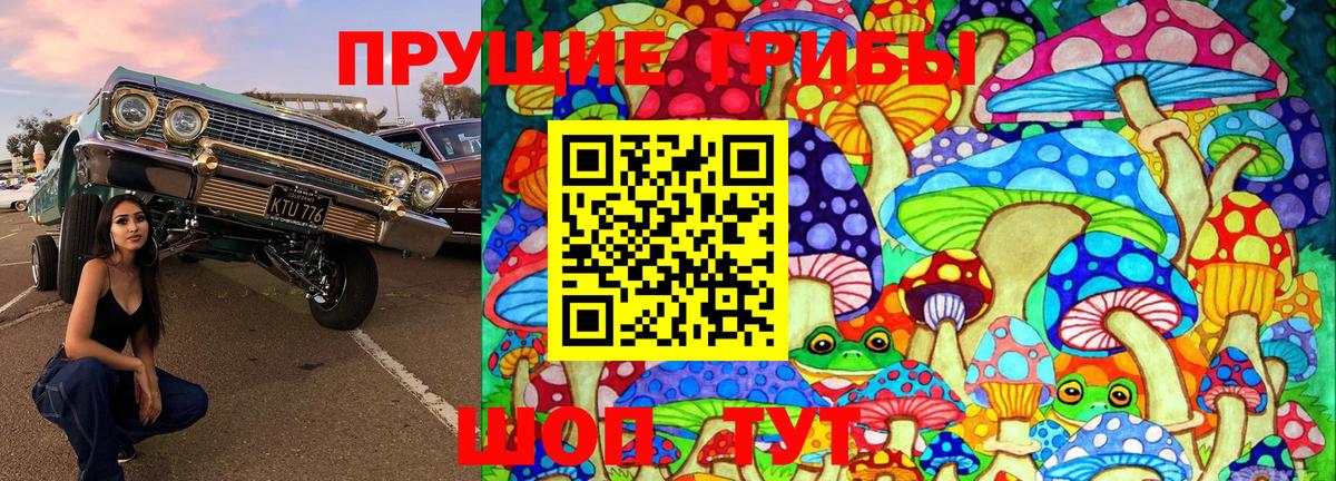 Псилоцибиновые грибы GOLDEN TEACHER Павлово
